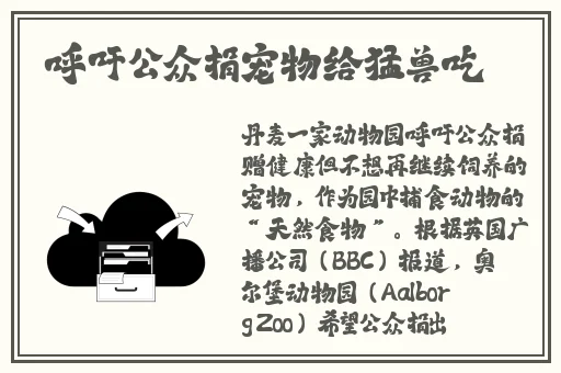 魅影直播间最新版本更新内容